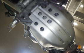 KAWASAKI SUPER SHERPA KL250G