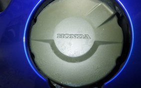 HONDA CBR1100XX 1999
