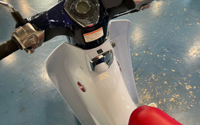 HONDA C125 SUPER CUB 2019 JA48