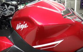 KAWASAKI NINJA 250 EX250P