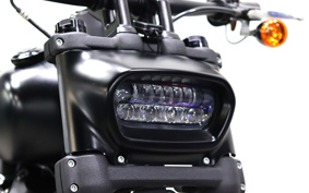 HARLEY FXFBS 2019 LKE