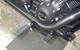 HARLEY FXLRST1920 2024