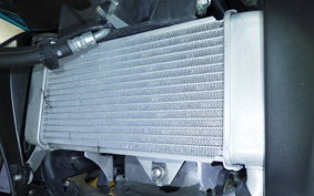 YAMAHA MT-125 2016 RE45J