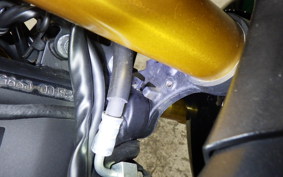 YAMAHA YZF-R15 2006 RG86J