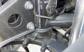 KAWASAKI NINJA 250R EX250K