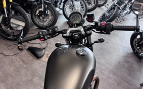 TRIUMPH STREET TWIN 2023 DAD74G