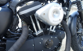 HARLEY HARLEY XL883N 2010 LE2