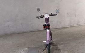 OTHER MINI BIKE ..