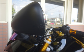 YAMAHA FZ1 FAZER 2009 RN17