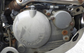 KAWASAKI SUPER SHERPA 2020 KL250G