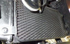 SUZUKI Vｽﾄﾛｰﾑ250A 2015