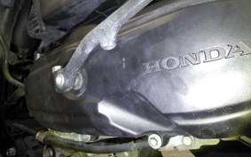 HONDA TACT-4ﾍﾞｰｼｯｸ 2025 AF79