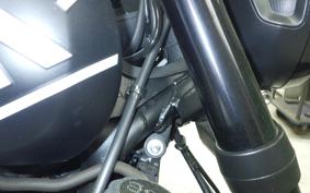 TRIUMPH TRIDENT 660 2021