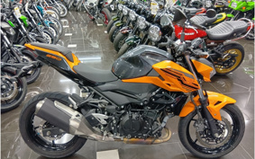 KAWASAKI Z250 EX250P