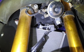 YAMAHA YZF R-3 2019 RH13J