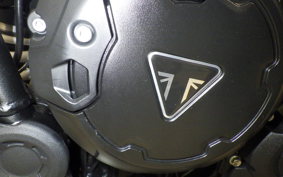 TRIUMPH TIGER 900 RALLY PRO 2024