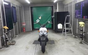 HONDA ZOOMER AF58