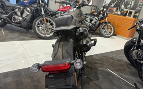 HARLEY  HARLEY RH1250S 2023 ZC4