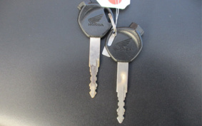 HONDA  TACT  BASIC  AF75