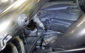 DUCATI DIAVEL Carbon 2015