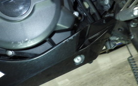 KAWASAKI NINJA 250 2010 EX250P