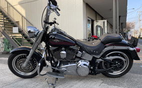 HARLEY FLSTF 2007 BX5
