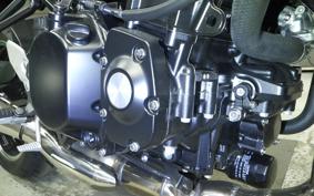 KAWASAKI Z900RS 2025 ZR900K