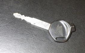 HONDA TACT-4ﾍﾞｰｼｯｸ 2024 AF79