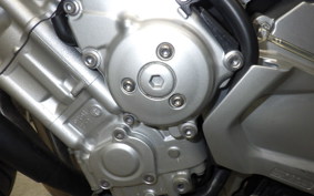 YAMAHA FZ1 FAZER 2009 RN21J