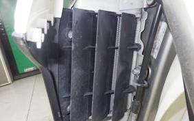 KAWASAKI KLX250 Gen.2 2012 LX250S