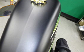 HARLEY XL1200X 2019