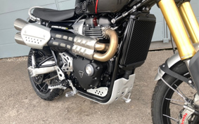 TRIUMPH SCRAMBLER 1200 XE 2025 DADS0H