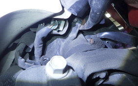 HONDA C50 SUPER CUB 2021 AA04