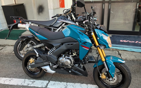 KAWASAKI Z125 PRO BR125H