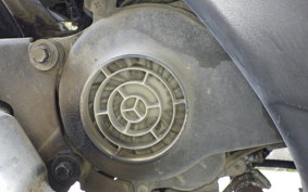 SUZUKI ZZ CA1PB