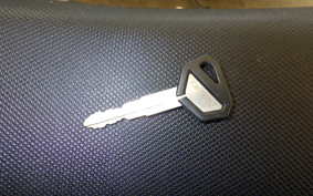 KAWASAKI KLX250D TRACKER X LX250V