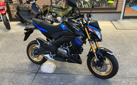 KAWASAKI Z125 PRO BR125H