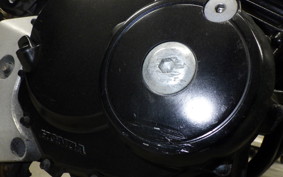 HONDA HORNET 250 MC31