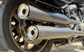 HARLEY FXLRST 2024 YXZ