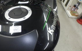 KAWASAKI ZX 1400 NINJA R A 2019