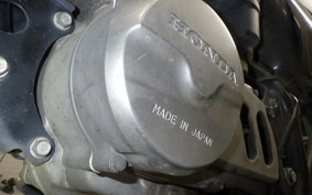 HONDA APE 50 2025 AC16