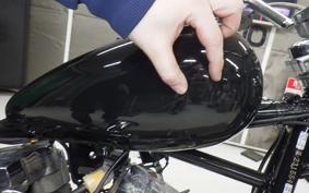 OTHER +UNREGISTERED MODEL by BDS1330 2026