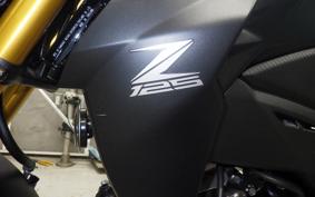 KAWASAKI Z125 PRO 2005 BR125H