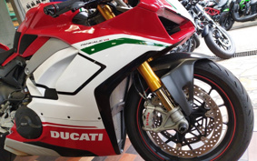 DUCATI PANIGA-REV4 SPECIALE 2018 DA00J