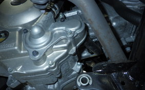 YAMAHA TRICITY 300 2021 SH15J