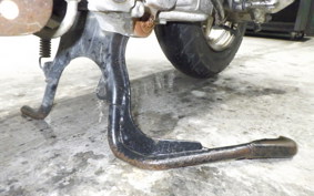 HONDA TODAY 2024 AF61