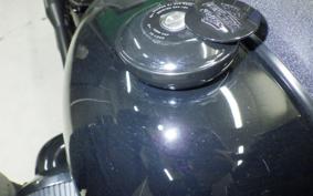 HARLEY FXLRS1920 2024