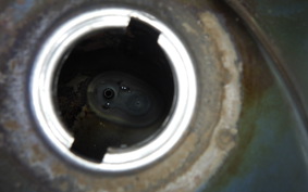 HONDA C50 SUPER CUB C50