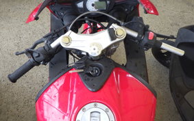 OTHER +メガリ250R