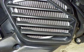 YAMAHA CYGNUSｸﾞﾘﾌｧｽ 2025 SEJ4J